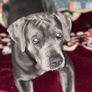 Meet your Posher, Juan